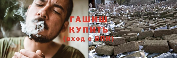 прущие крисы Алзамай