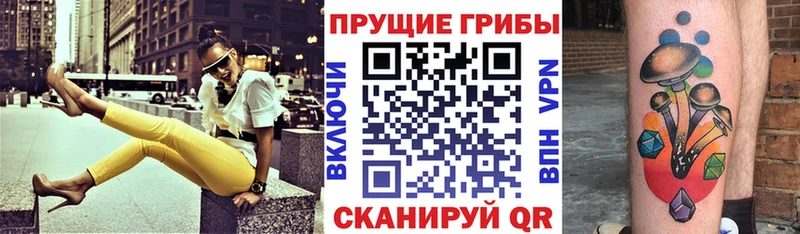 Галлюциногенные грибы Psilocybine cubensis  Новодвинск 