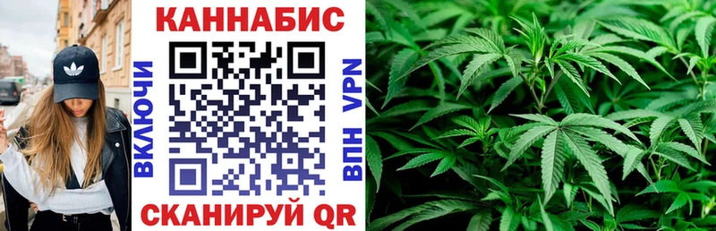 МАРИХУАНА план Новодвинск